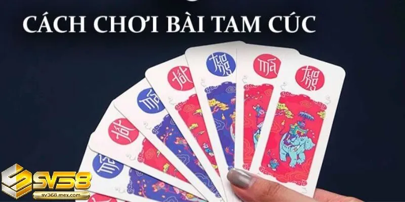 Giới thiệu về Bài Tam Cúc Sv368
