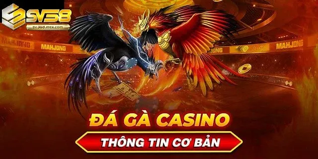 Lưu Ý Đá Gà Casino Sv388