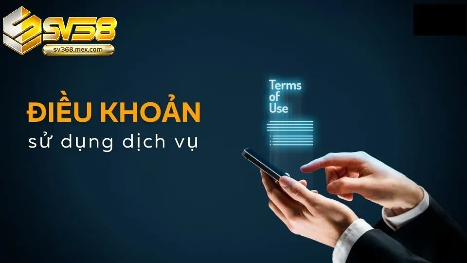 Điều Khoản Sử Dụng Sv368